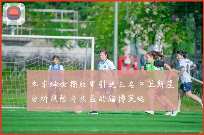冬季转会期红军引进三名中卫新星分析风险与收益的赌博策略